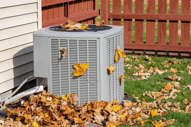 Best Local HVAC companies  in Paintsville, KY